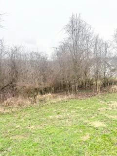 COVENTRY ROAD, VALLEY GROVE WV 26060, VALLEY GROVE, WV 26060, photo 4 of 8