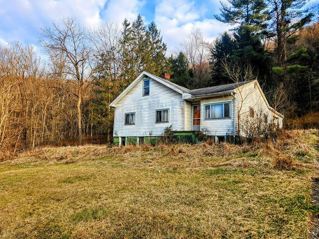 91 SPRINGER ADDITION, TRIADELPHIA, WV 26059, photo 1 of 12